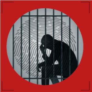 graphic of a silhouette of a person sitting behind bars head in their hand, a fingerprint graphic behind them and a red border.
